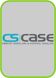 CS CASE